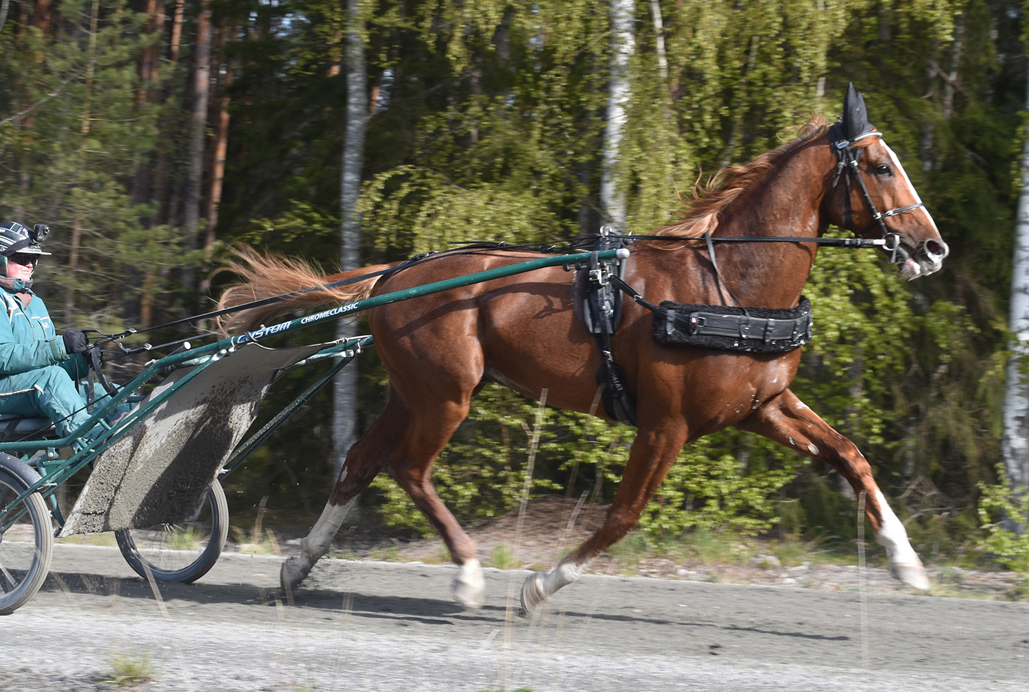 Alone. Foto: A.Lindblom